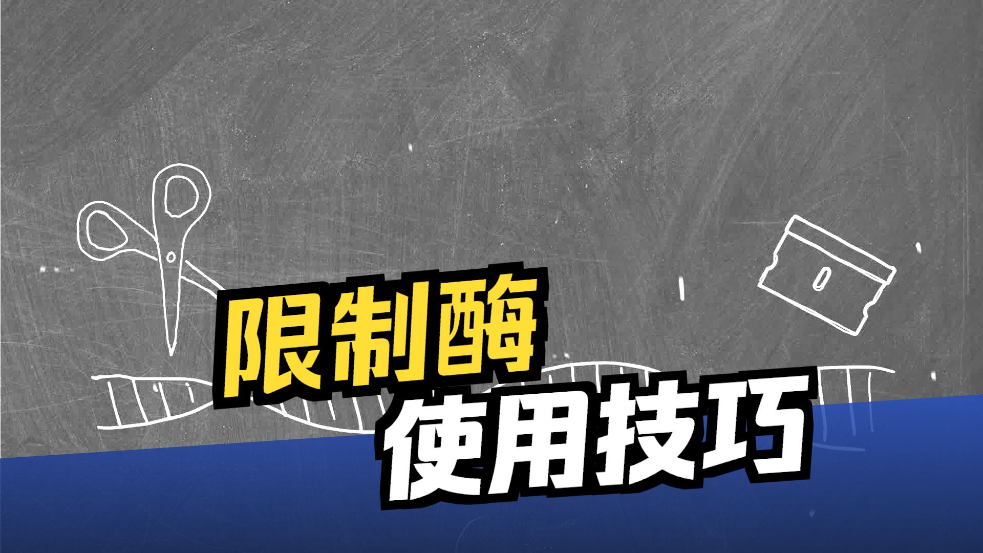 一条动画告诉你：如何设置限制性酶消化？