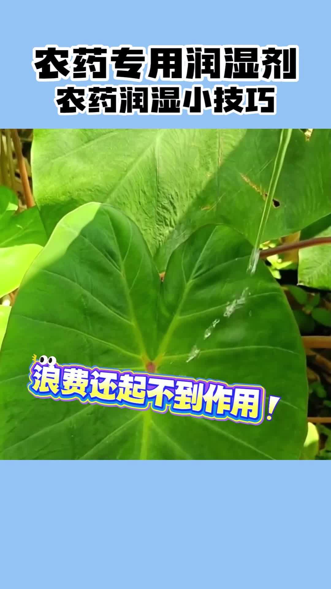 农药润湿小技巧