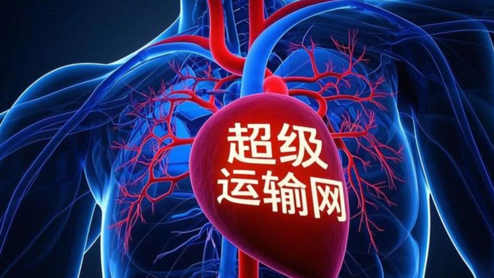 《心血管系统：身体里的 “超级运输网”，竟藏着这些秘密》