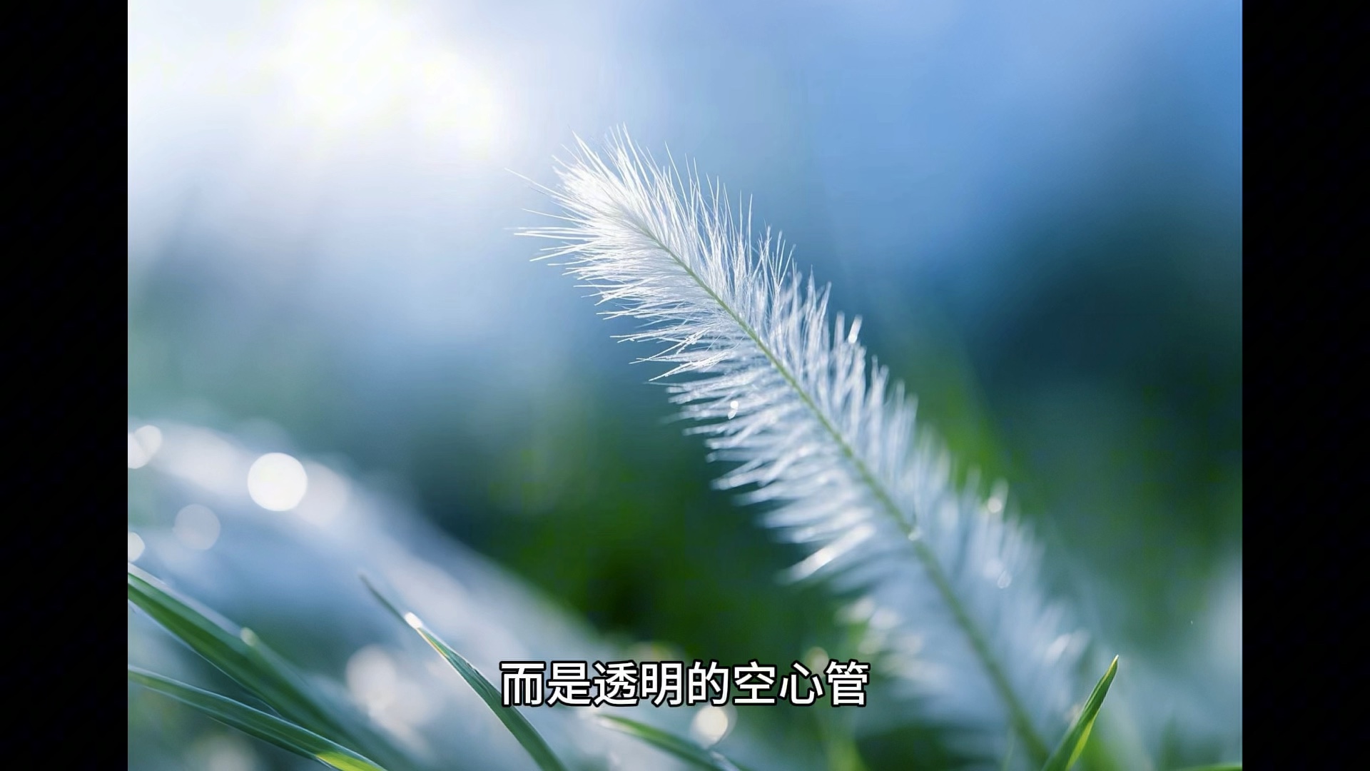 北极熊搬家去南极是不是就是南极熊呢？