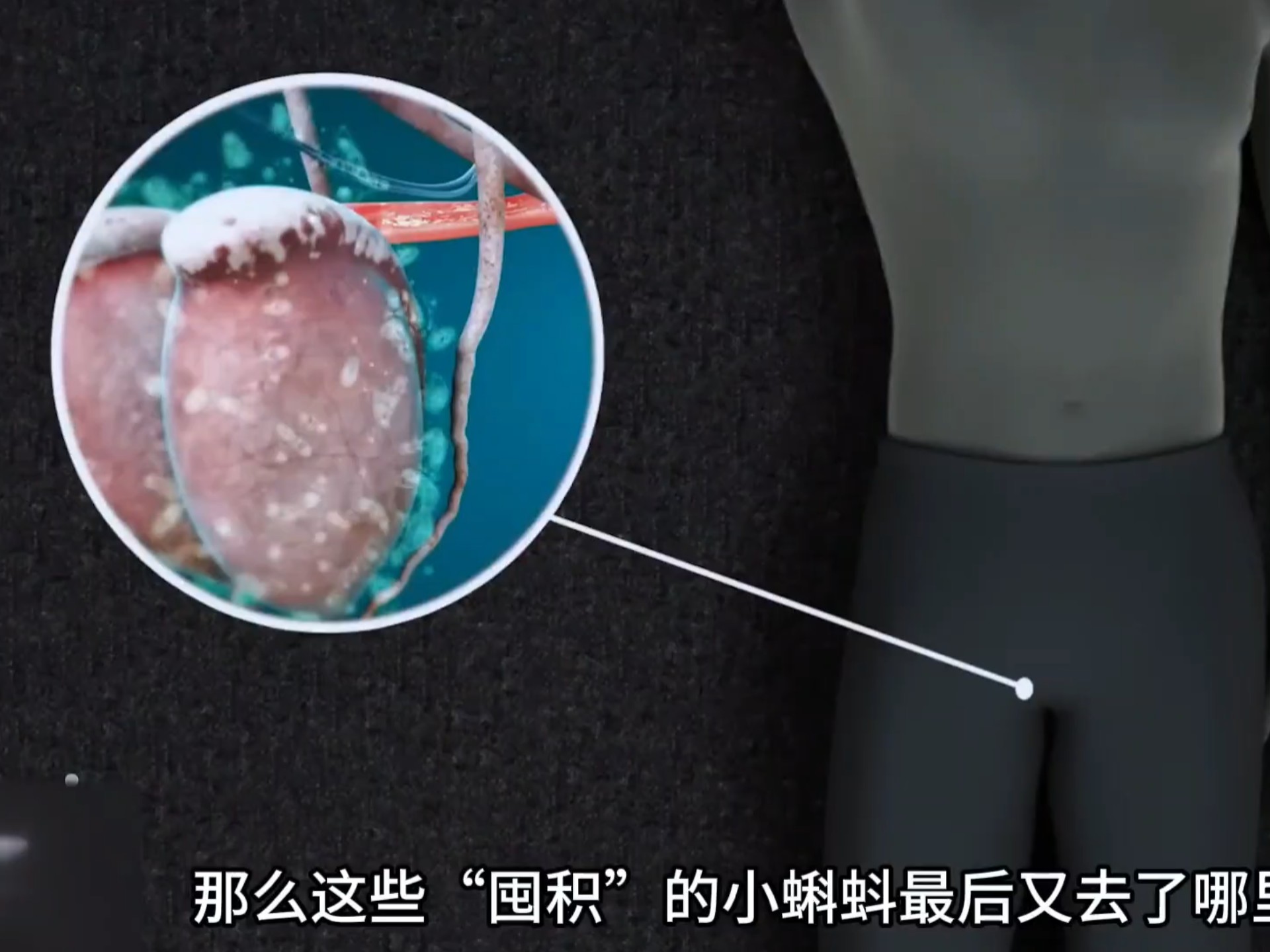 “如果连续禁欲一年，身体会发生什么变化？”