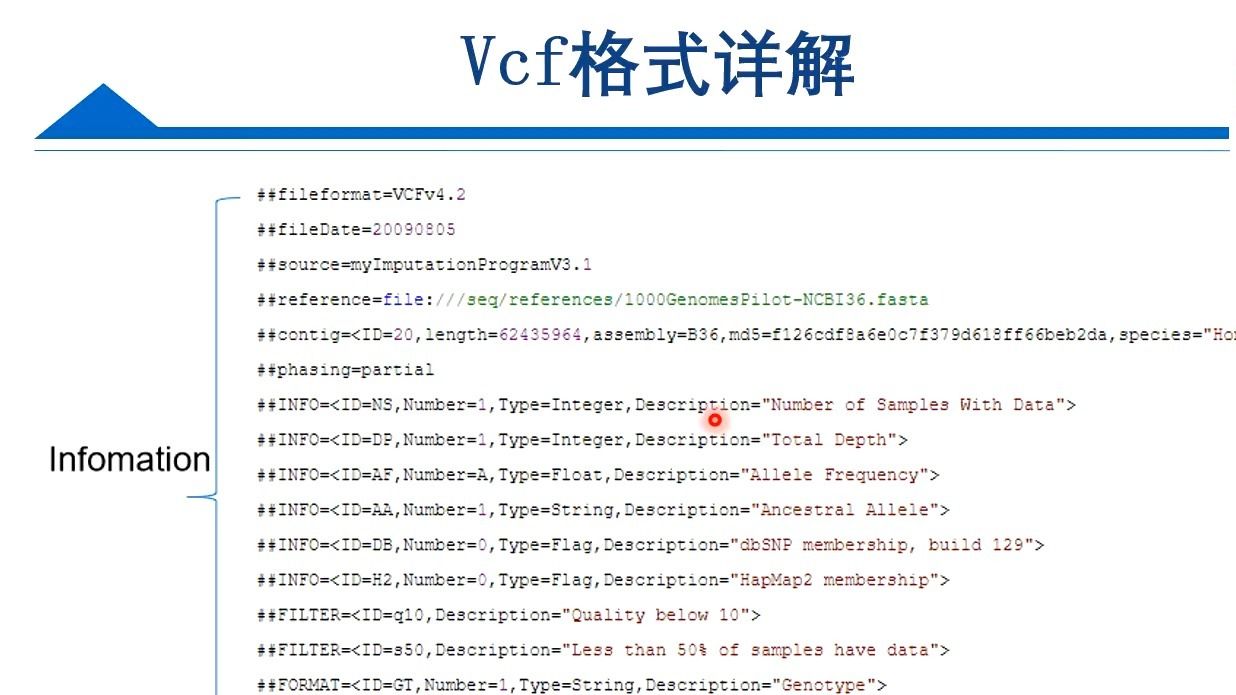 基因组重测序课程系列， Day9-VCF文件格式解析与应用，生信小伙