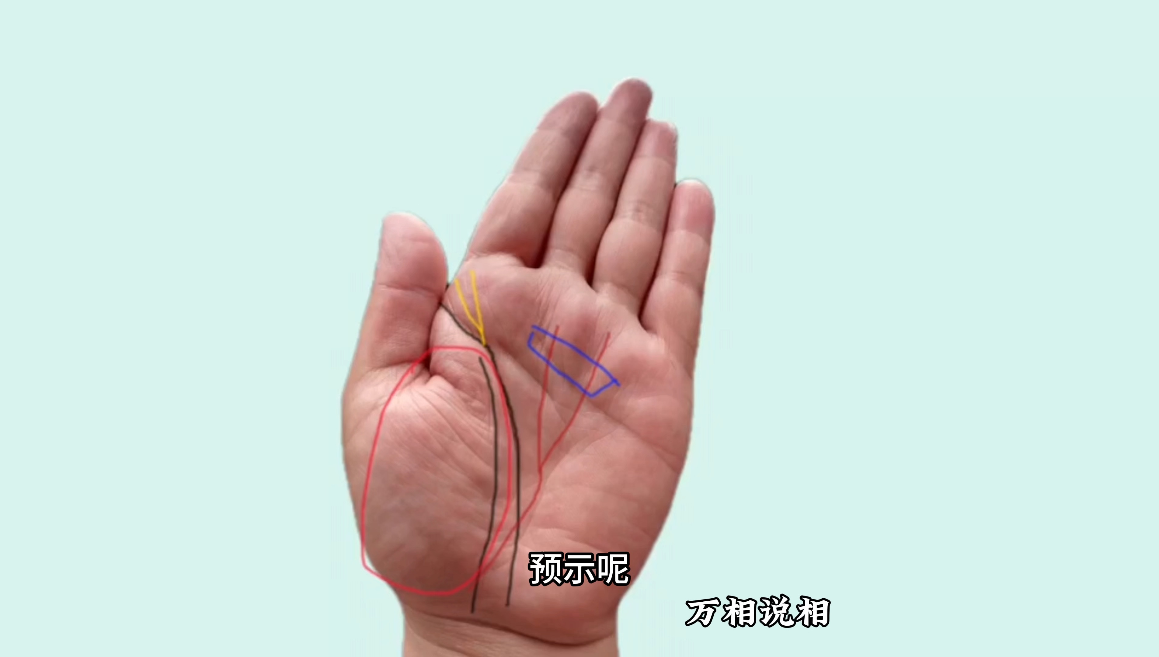 40岁就可以打下自己可靠的江山！