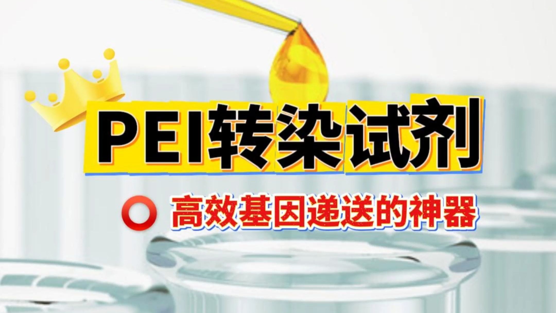 【PEI转染试剂】高效基因递送的神器