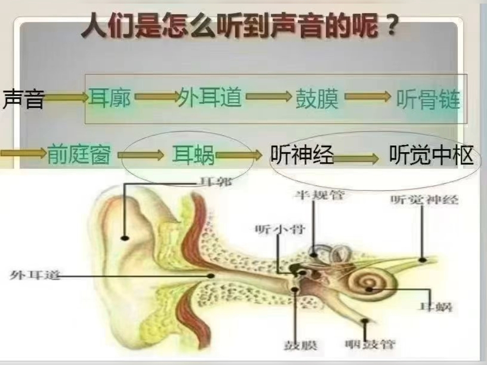 耳朵听不见，听不清，不光要配助听器，可在坚持适应后更要长期佩戴