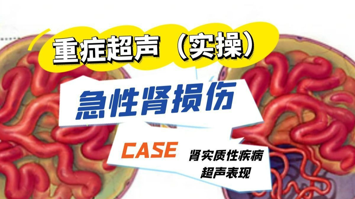 重症超声-肾脏超声-急性肾损伤肾实质超声表现