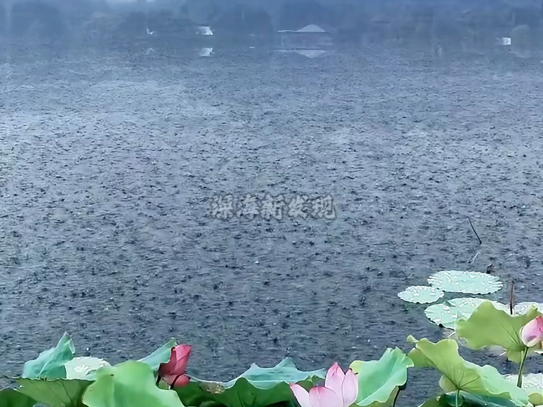 科普“黑云翻墨未遮山  白雨跳珠乱入船”#古诗词 #具象化#风