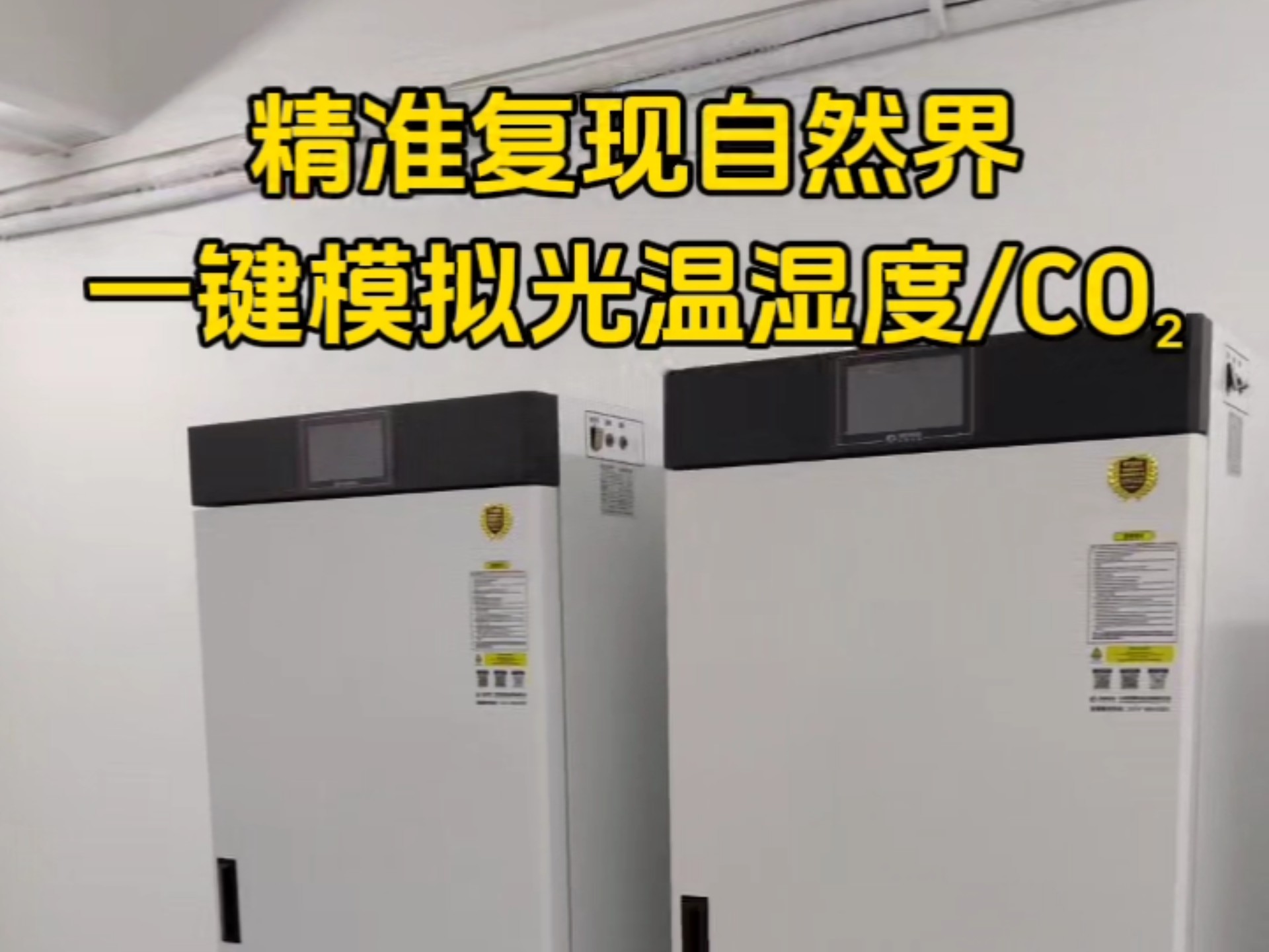 四台联控！课题组人均“私人温室”，实验进度不再打架 #植物培养