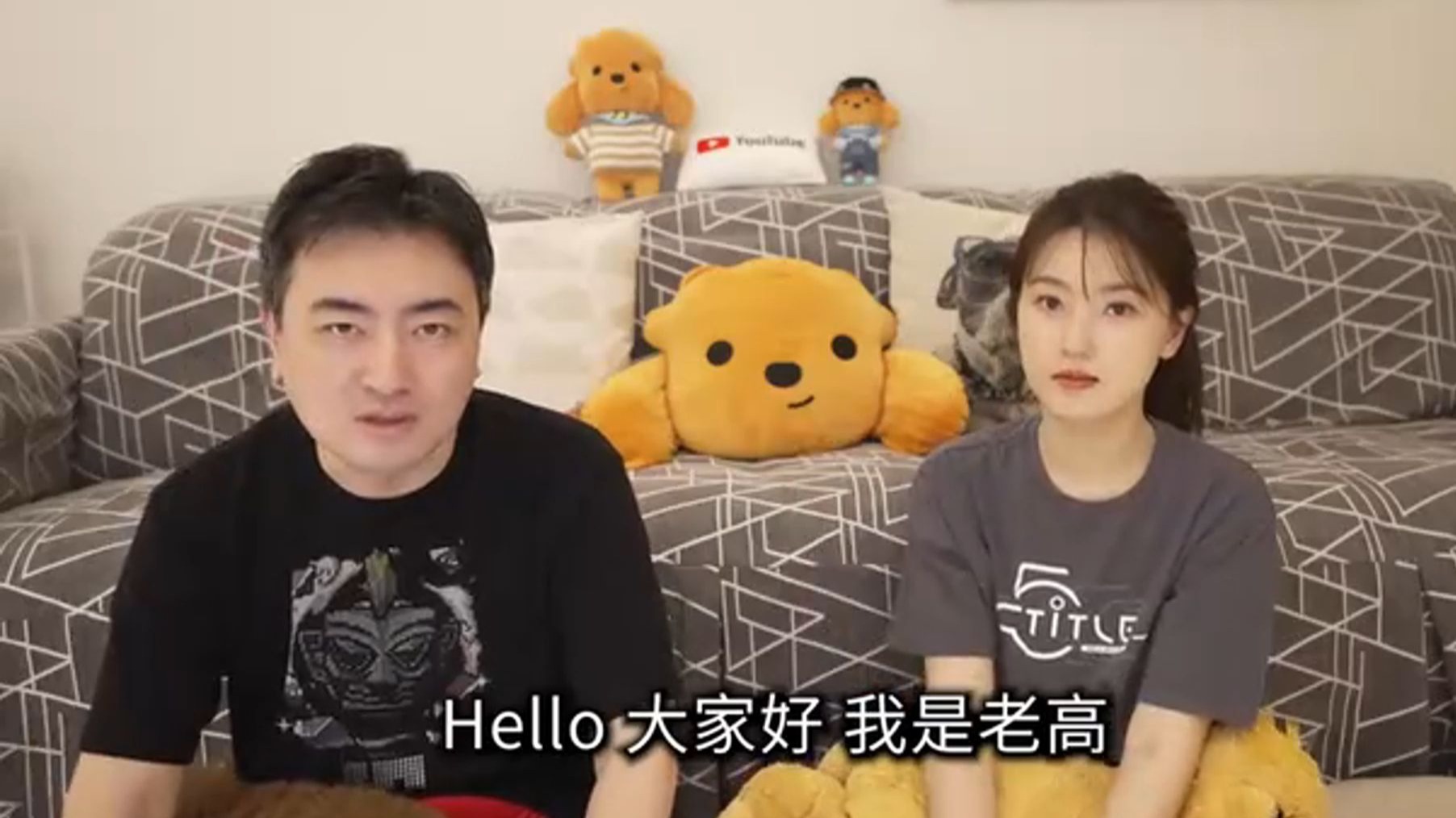 睡觉自用 搬运 老高与小茉  金属 铅 和 类人猿 无尾音