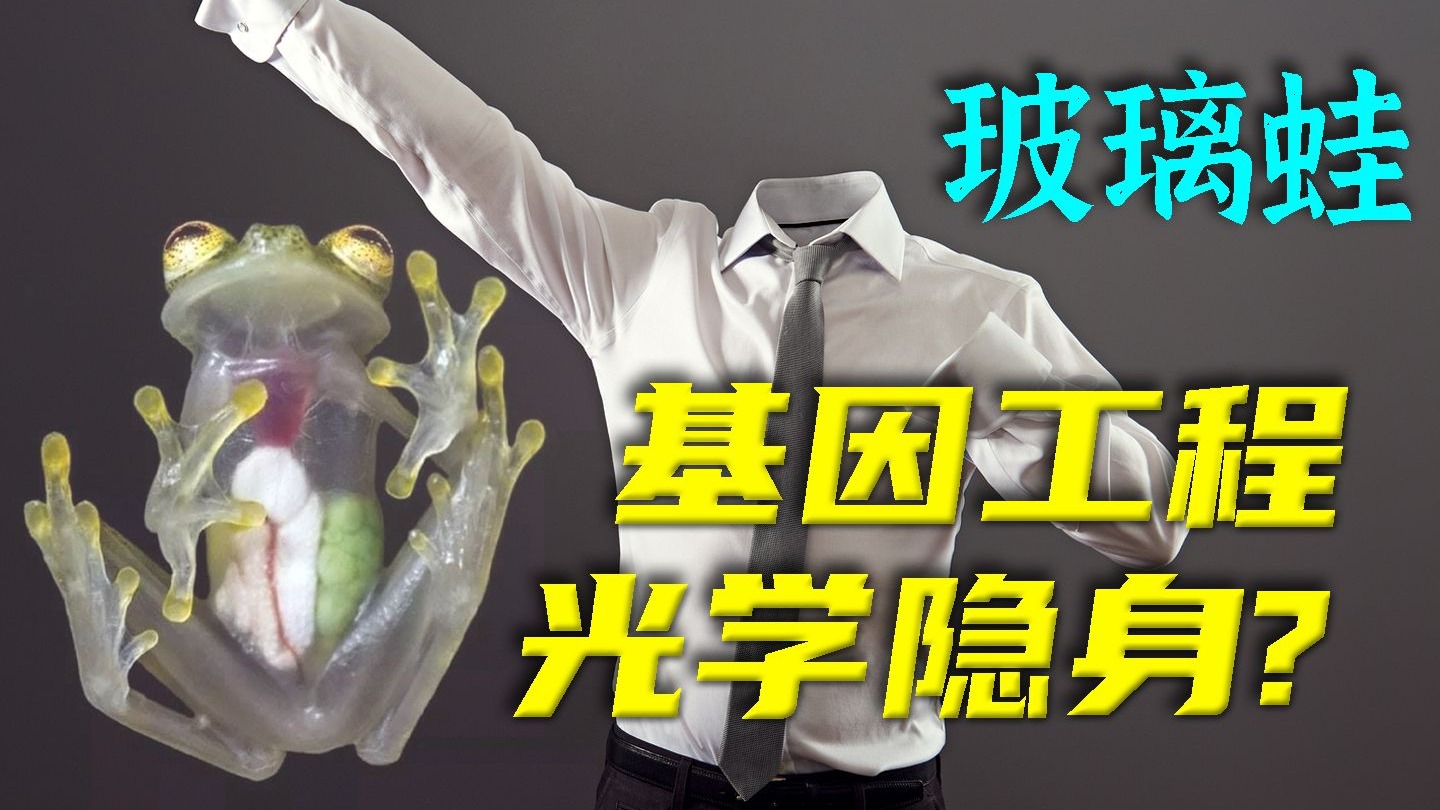 人体为什么不透明？光学隐身超级兵可以通过基因工程造出来吗？