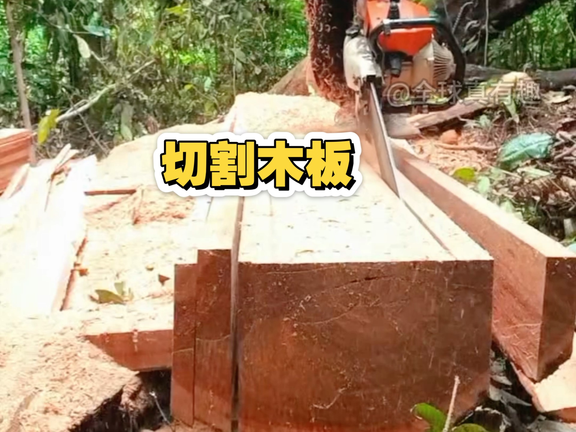 切割木板时，工人师傅会先用墨斗弹线，这也是切割木板笔直的关键
