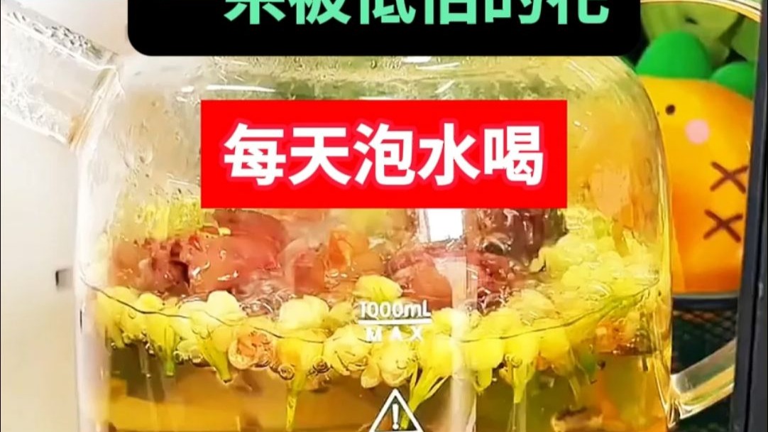 一朵被低估的花，每天泡水喝，气顺了痰少了结节不见了！