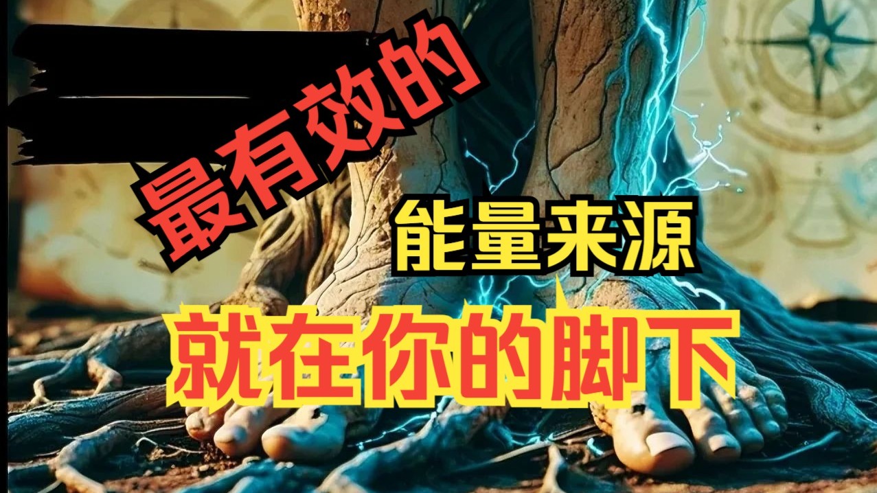 祖先的隐秘智慧：赤脚连接大地如何重塑你的生命？（双语配+中文助