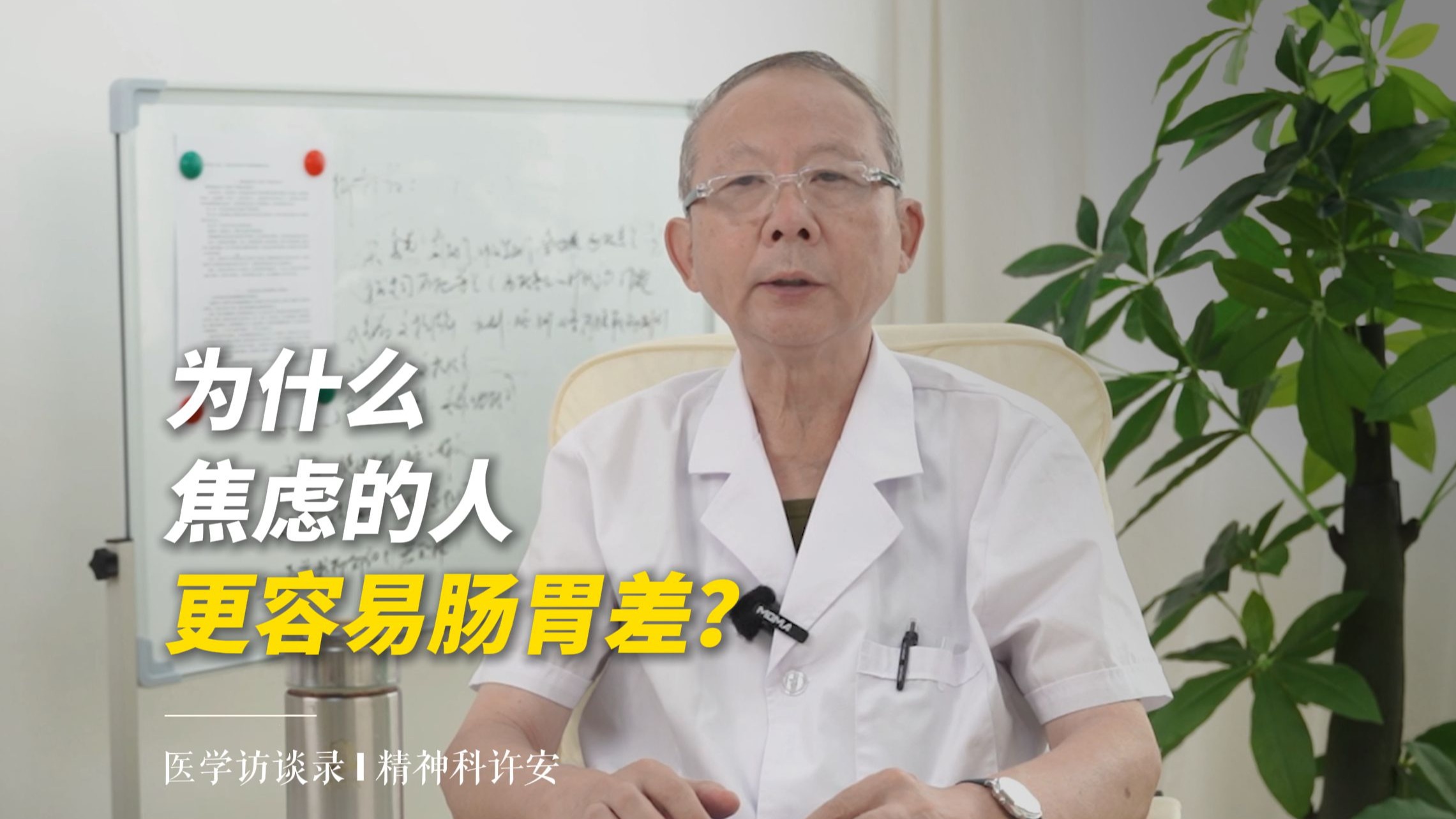 北京精神科医生许安：为什么焦虑的人更容易肠胃差？