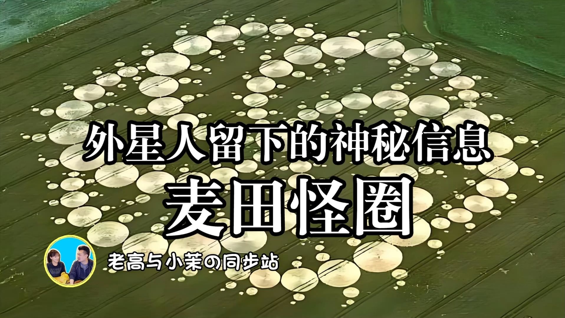 「搬运-老高与小茉」揭开麦田怪圈之谜，探索外星人留下的神秘