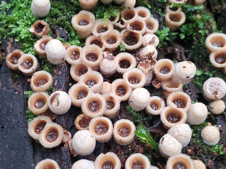 【飞机KKKT】更新啦，赶紧来围观吧！