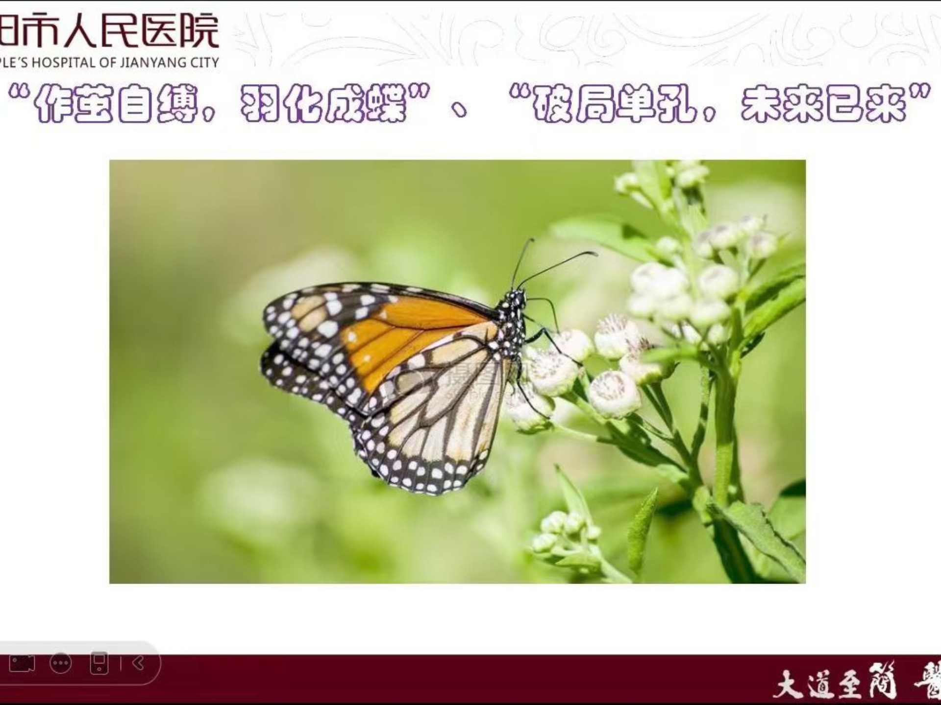 超微创腹腔镜肝癌切除。