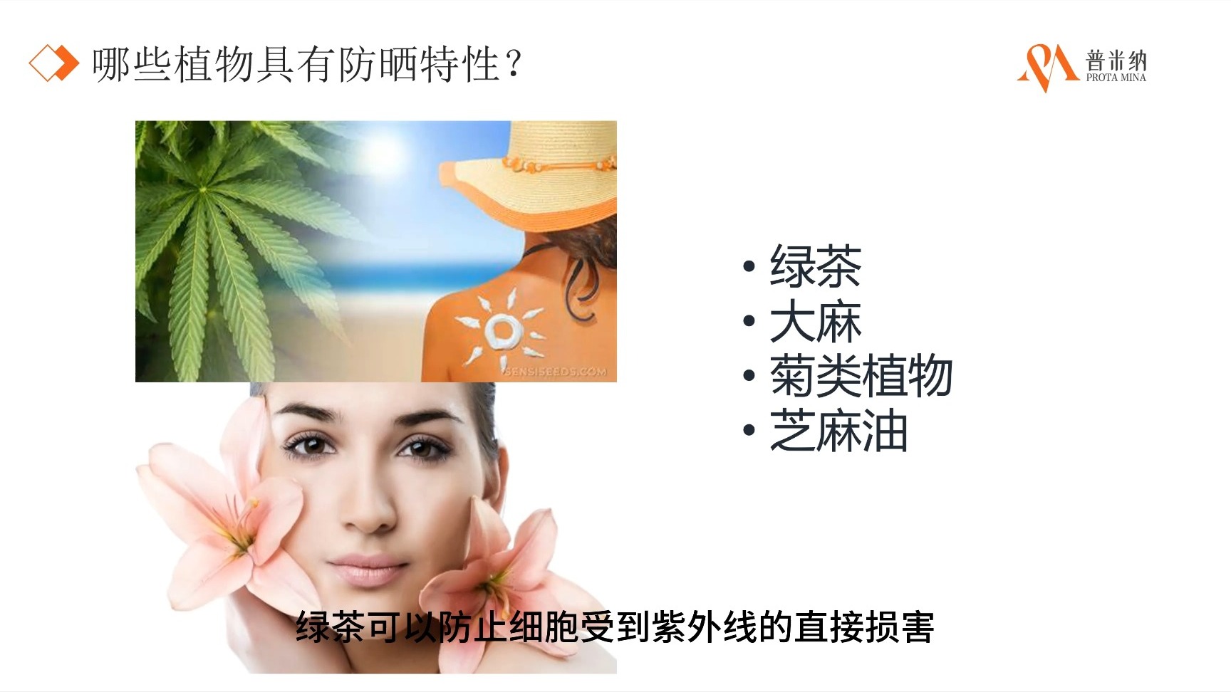 普米颜学堂——水杨酸的生物防晒作用