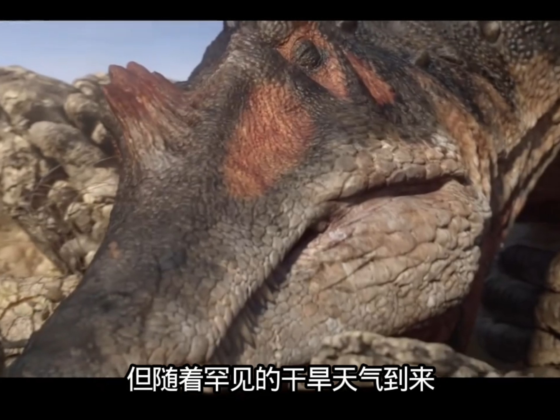 比霸王龙还大顶尖猎食者就这样死了……