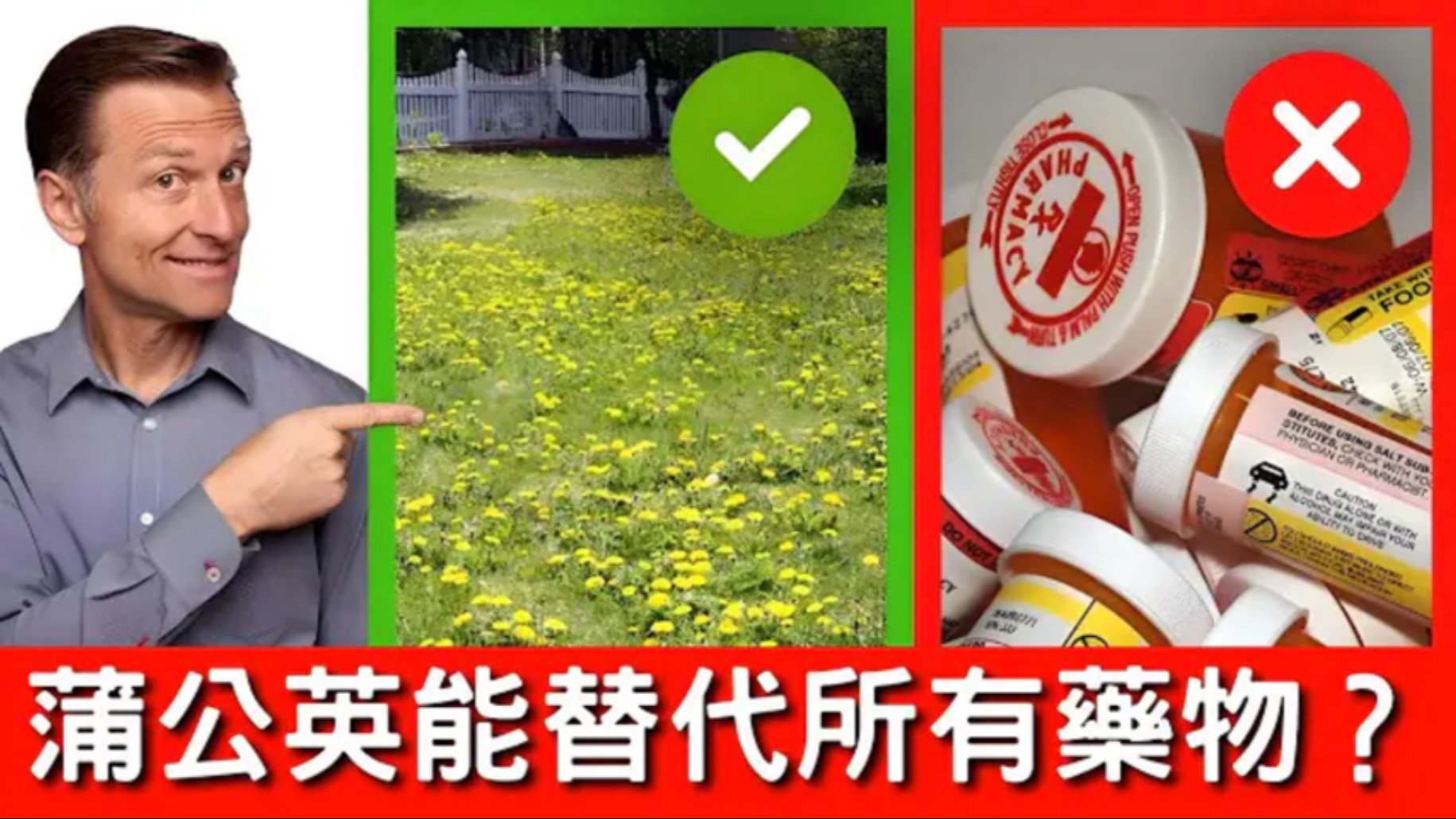 第1名杂草蒲公英，可取代所有药物，自然疗法，柏格医生 Dr Berg