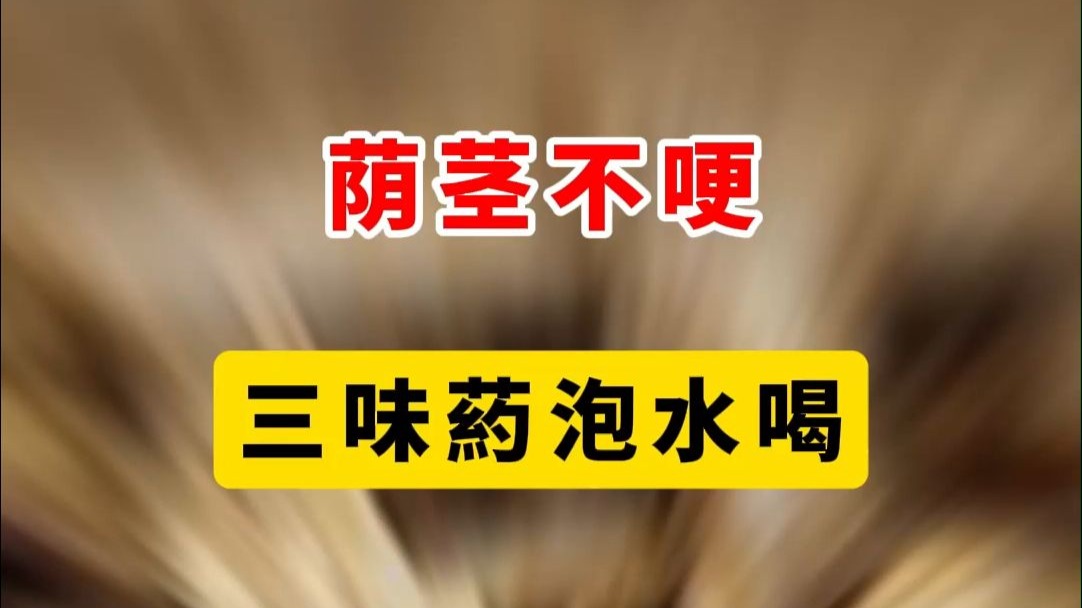 荫茎不哽，三味葯泡水喝，想哽多久哽多久