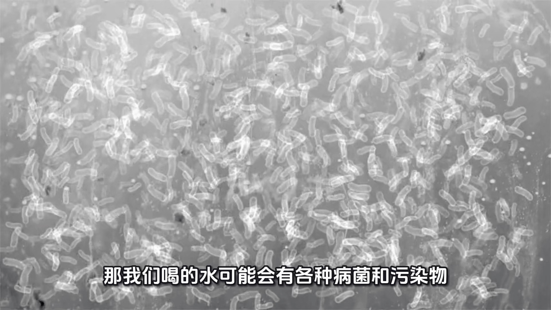 污水处理是对自然的尊重，处理污水是的人的尊重，污水处理人呢？
