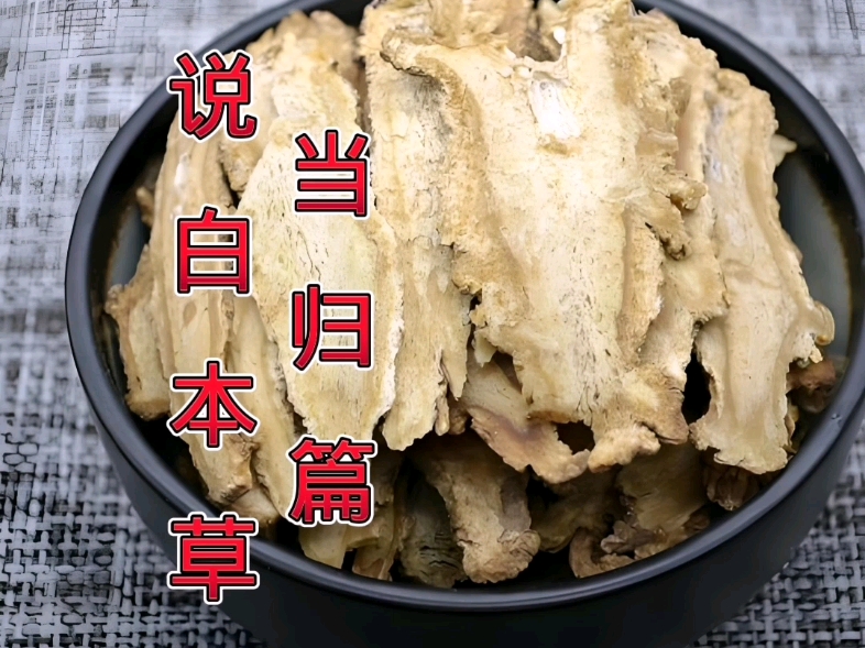 说白本草_当归篇