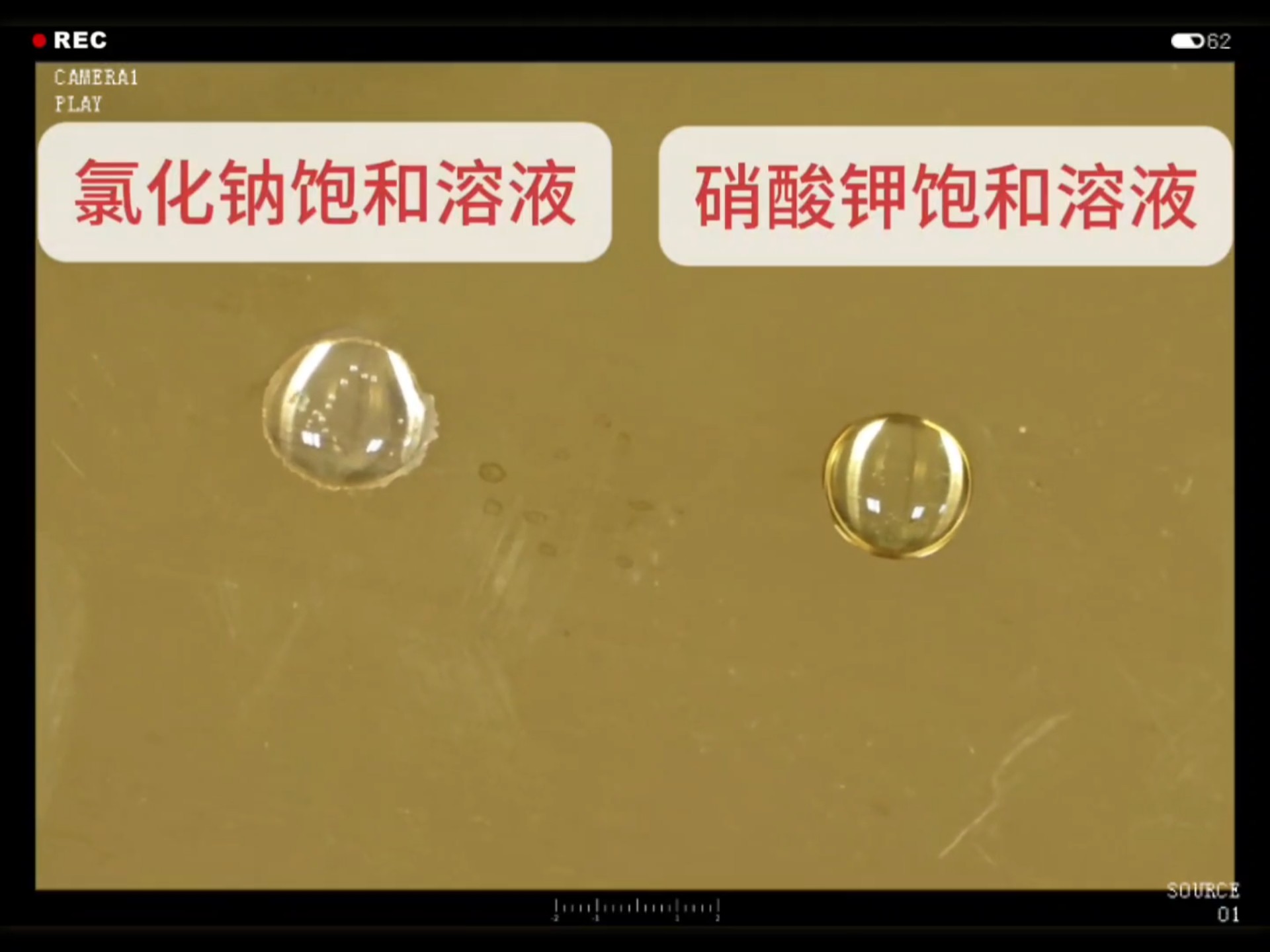 从溶液中提取溶质（氯化钠饱和溶液和硝酸钾饱和溶液，升温蒸发溶