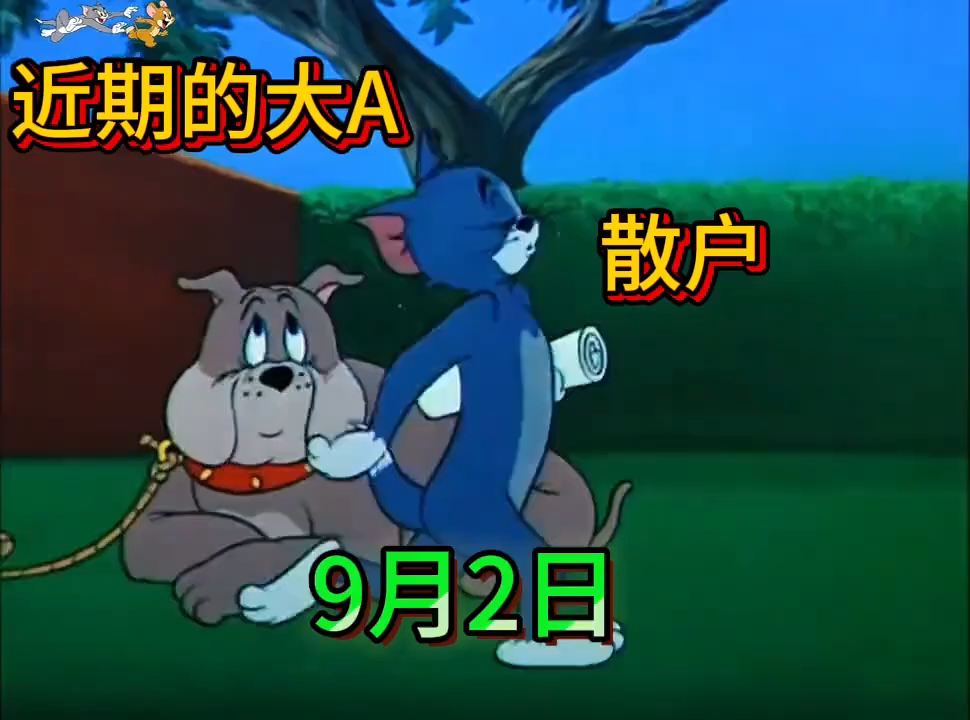 近期散户情况⊙▽⊙