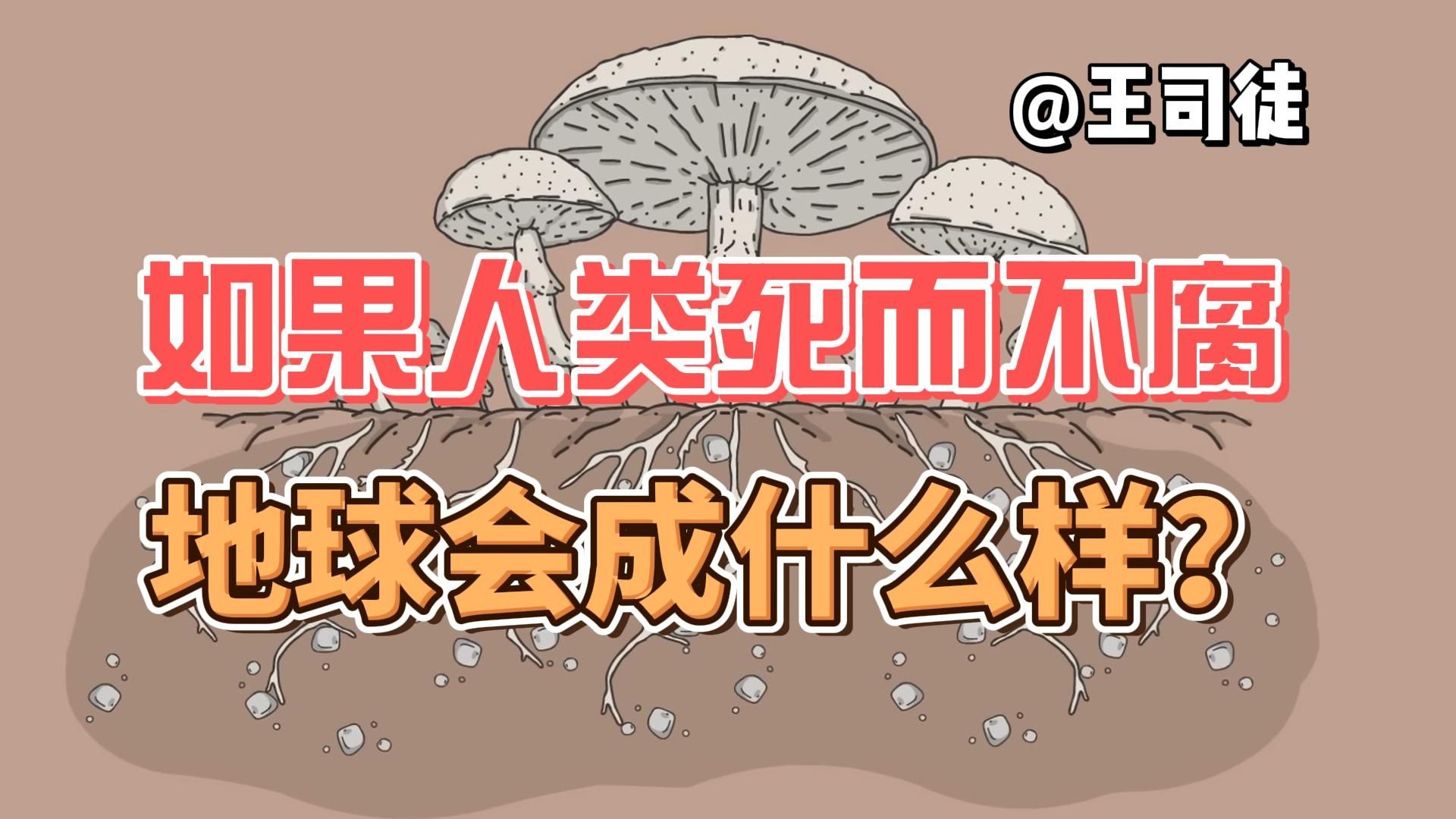 如果人类死后不会腐烂，地球会变成什么鬼样子？