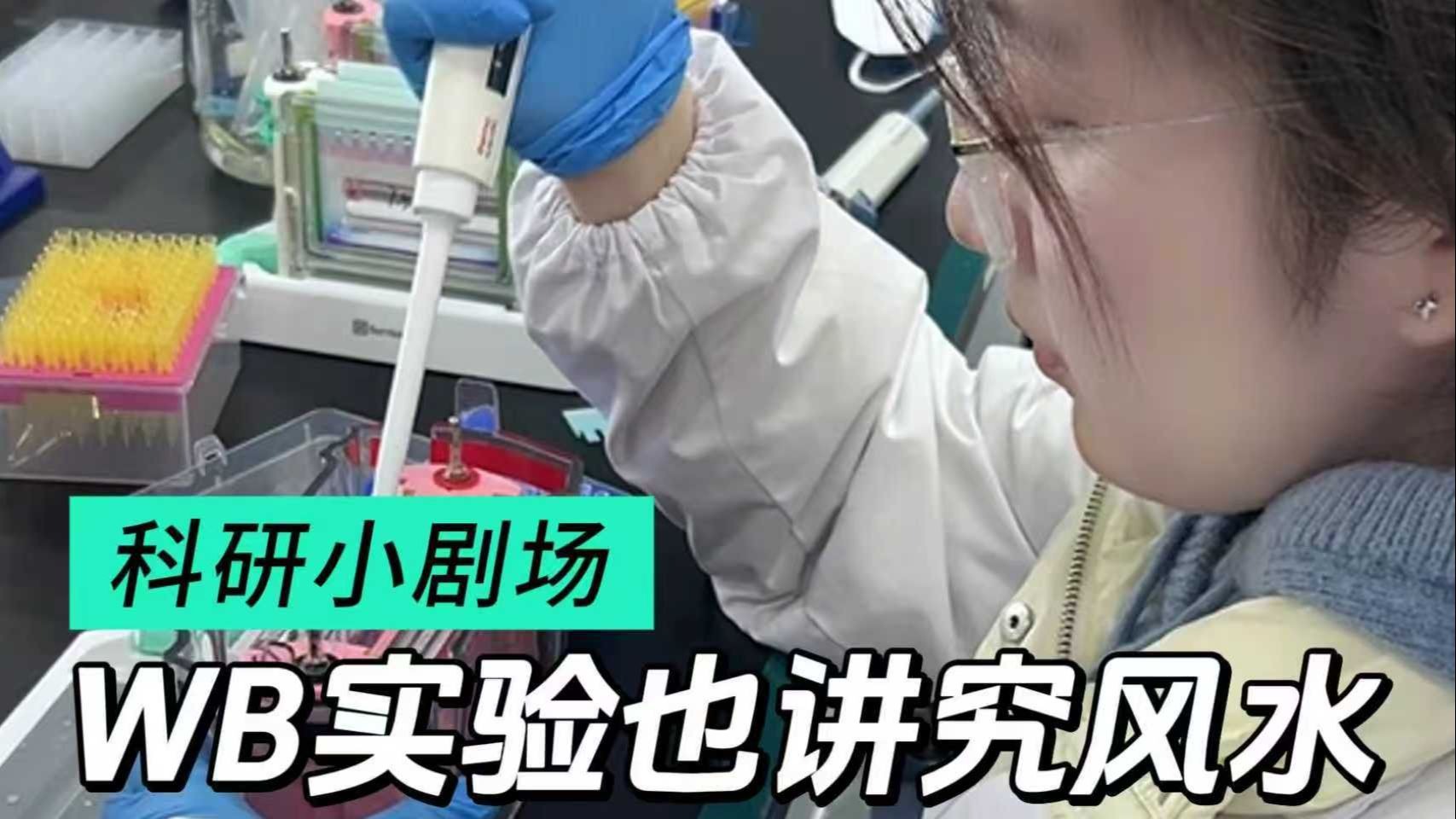 WB实验也讲究风水