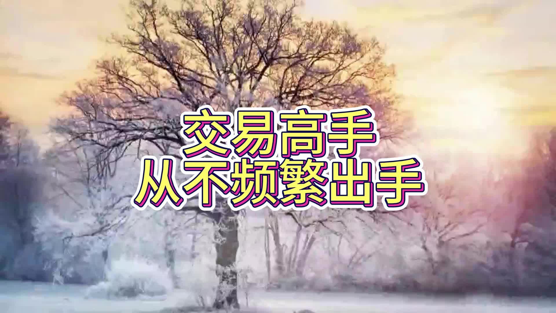 高手从不频繁出手