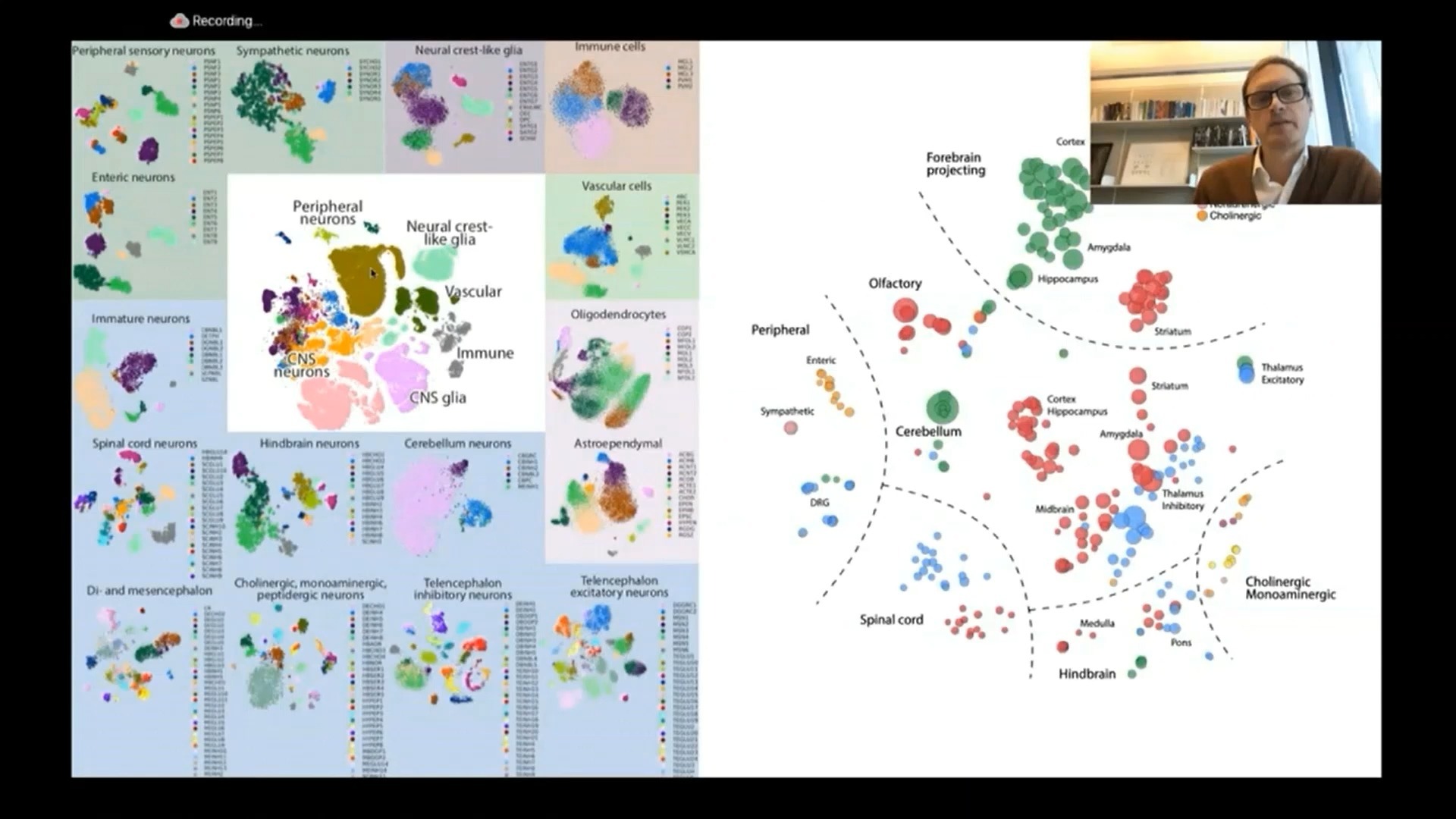 2020 单细胞组学国际研讨会 - 004 - 1015-9 Sten Linnarsson