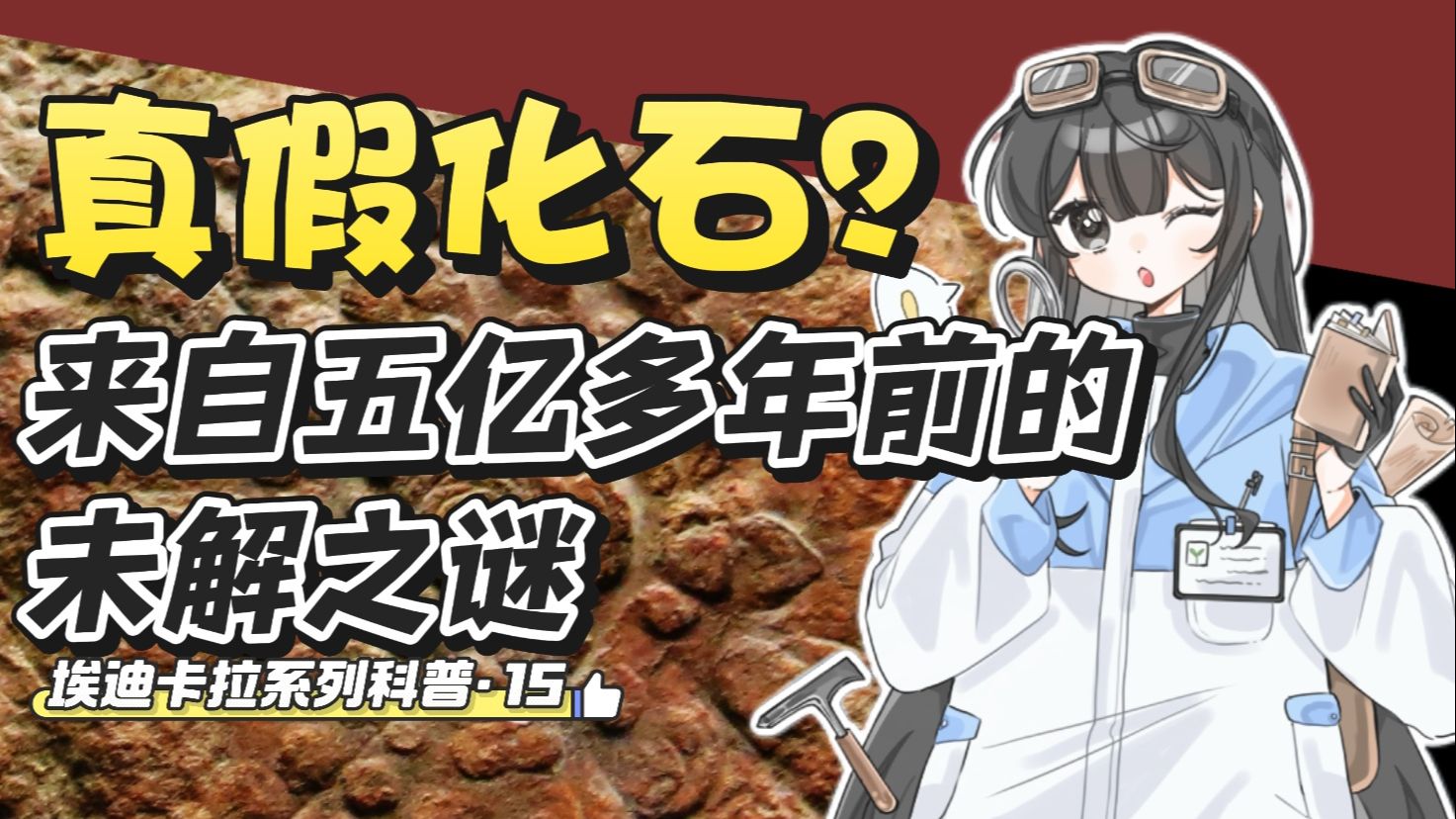 来自五亿多年前的未解之谜