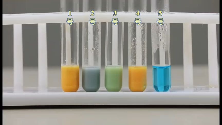 1_2.1 实验：检测生物组织中的糖类、脂肪和蛋白质拓展