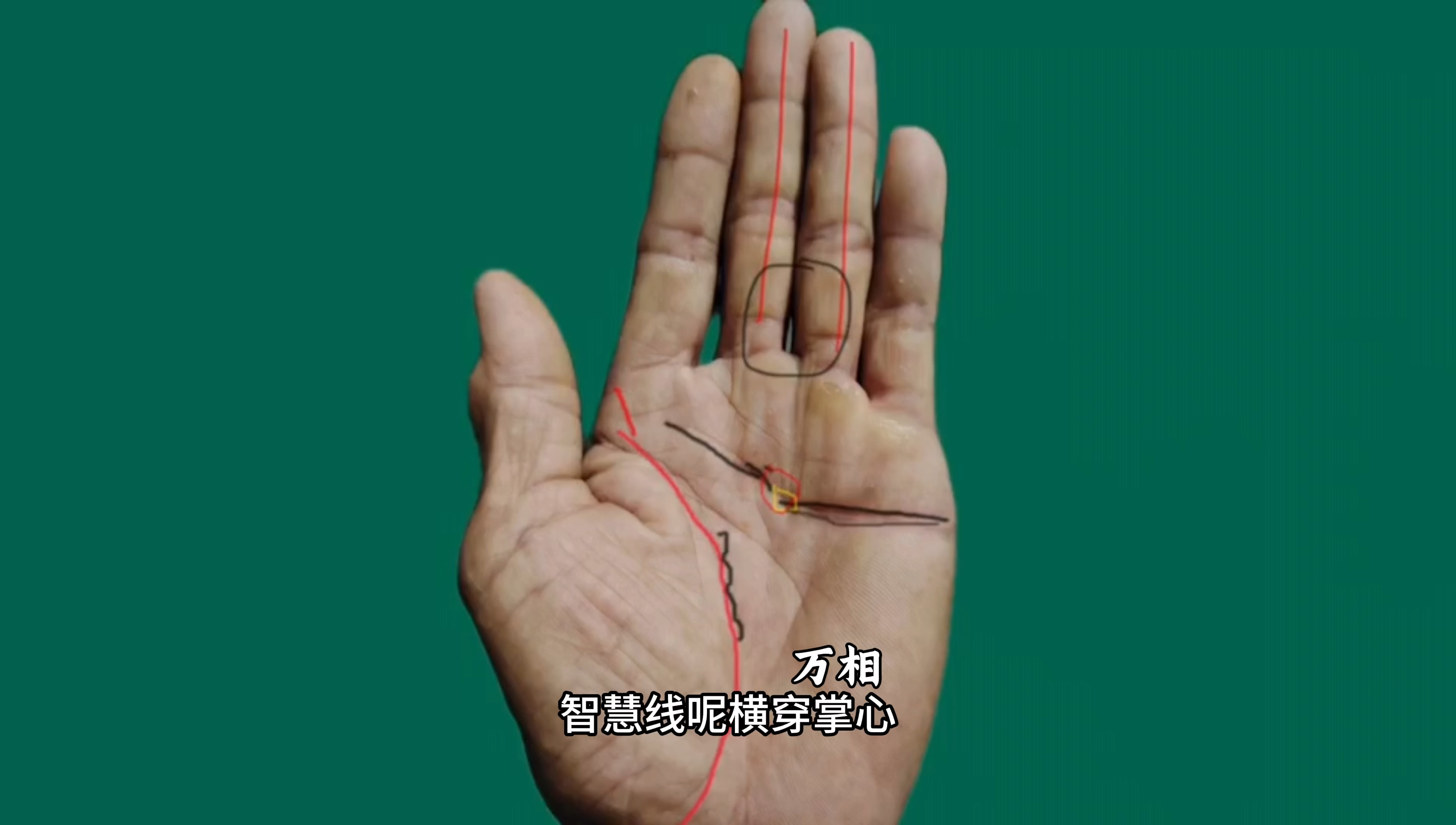 55岁才能安稳，实在是太晚了吧