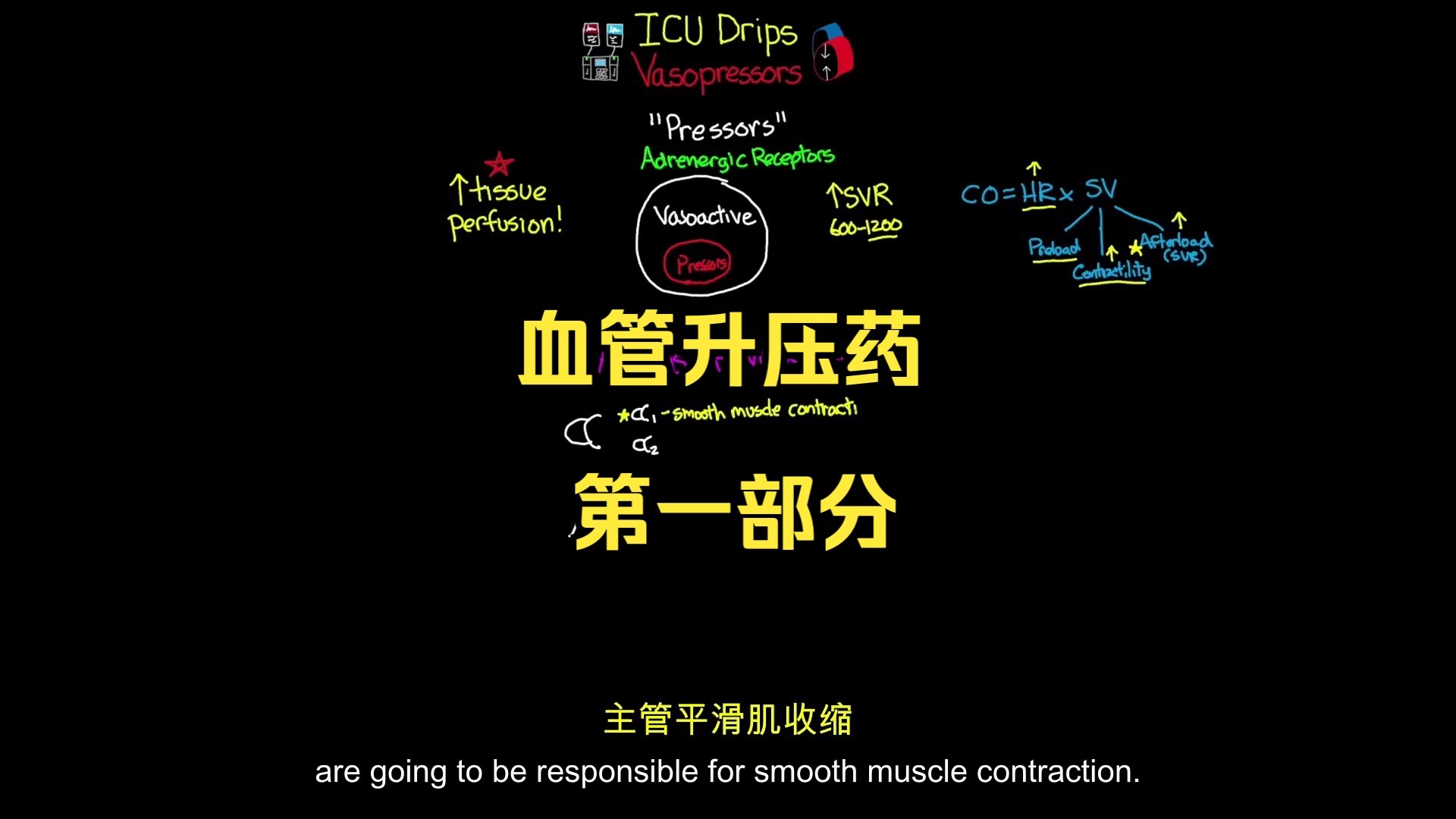 血管升压药（第一部分）- ICU 用药（中英文双语版） (1080p)