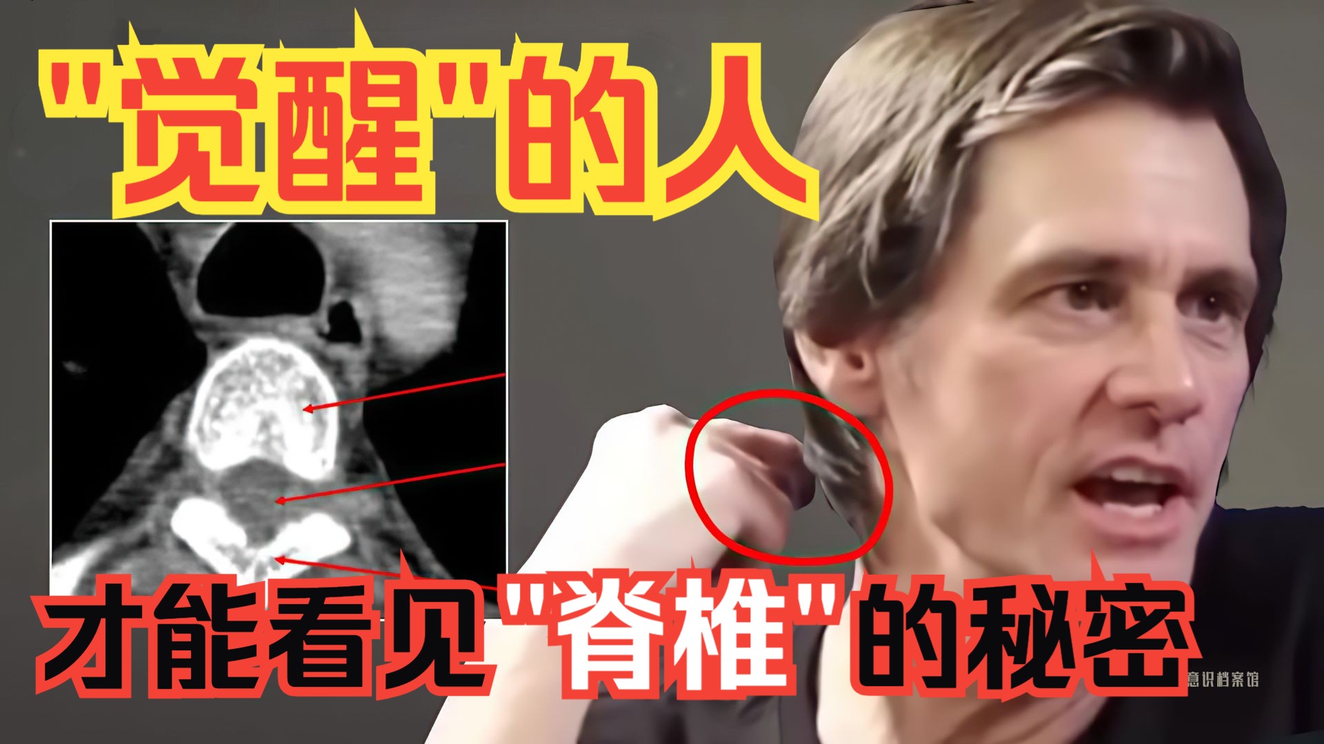 EP97｜只有觉醒者才懂：脊椎里隐藏的圣经秘密｜（双语配音）