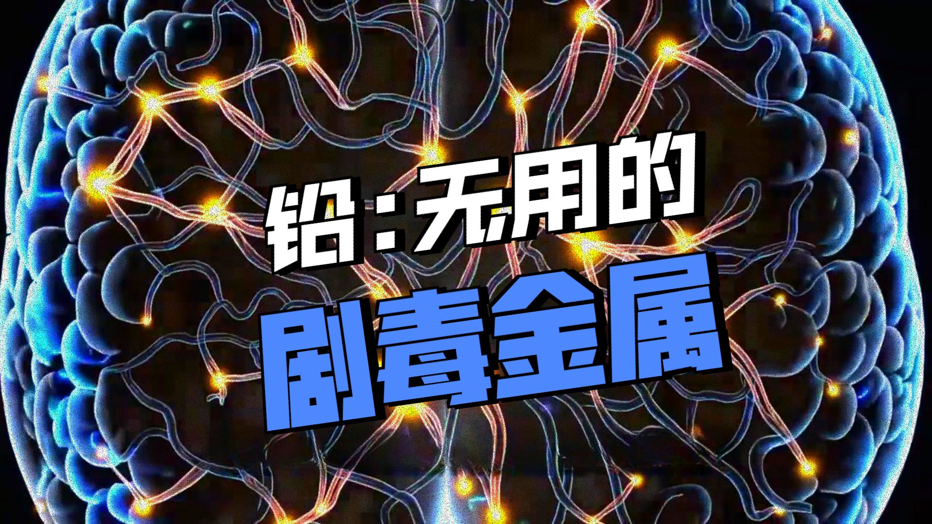 250903【老高与小茉】可怕的铅