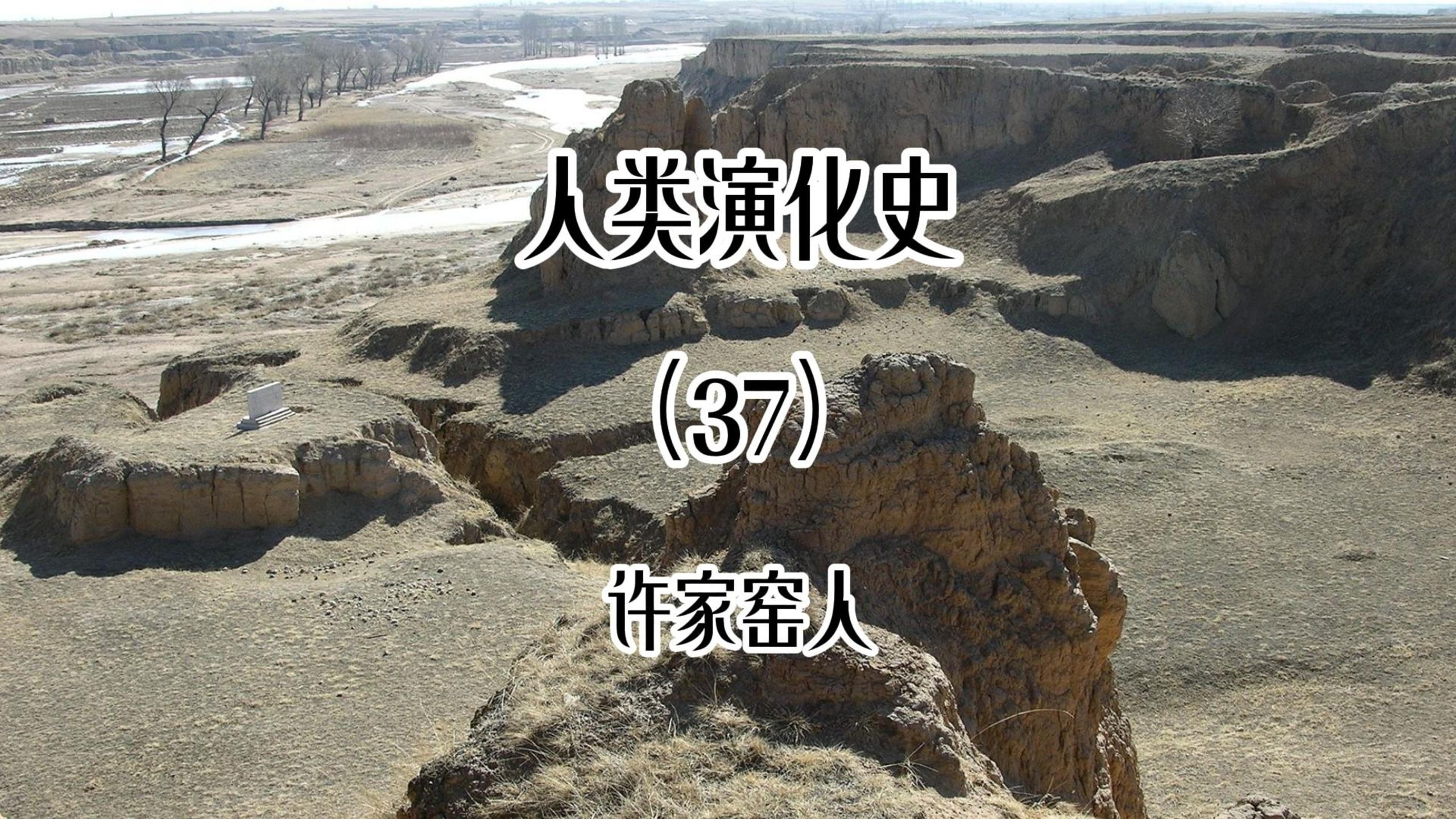 人类演化史（37）许家窑人