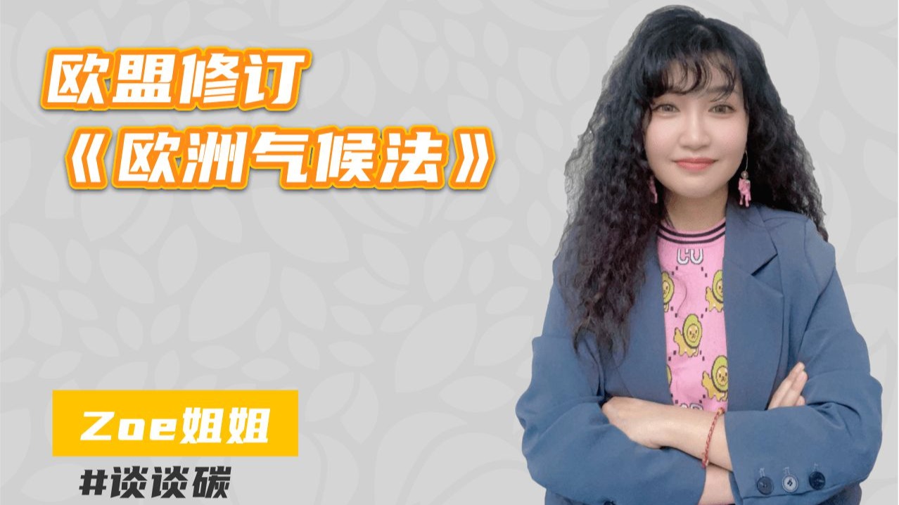 第106期 | 【重磅】2040年减排90% ---- 欧盟减排新路径解析