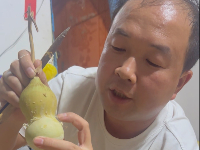 这个视频告诉第一次种葫芦的朋友……葫芦什么时候下架，什么时