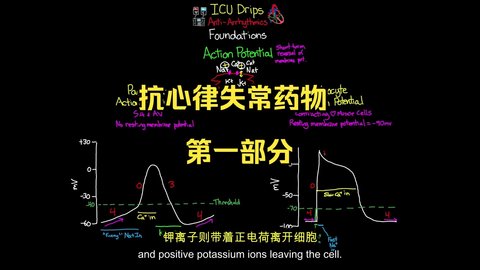 第一部分抗心律失常药- ICU 用药（中英文双语版） (1080p)