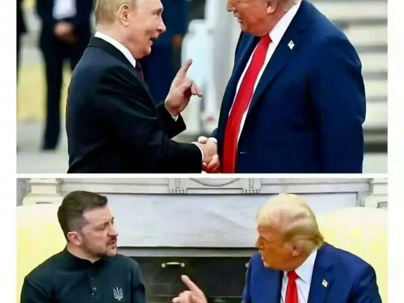 弱肉强食！上菜单