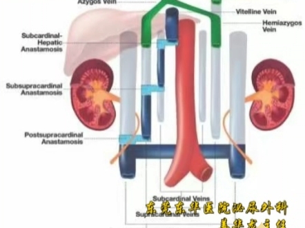一面锦旗背后的“血管迷宫营救”