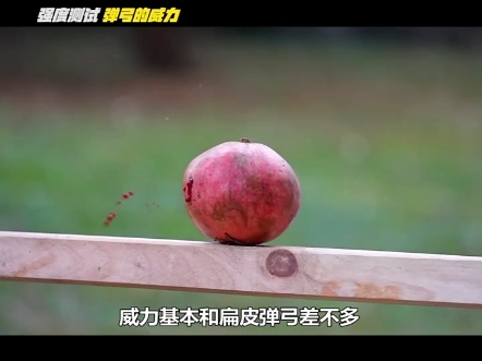 弹弓的威力究竟有多大 #涨知识  #科普  #弹弓 #奇闻趣