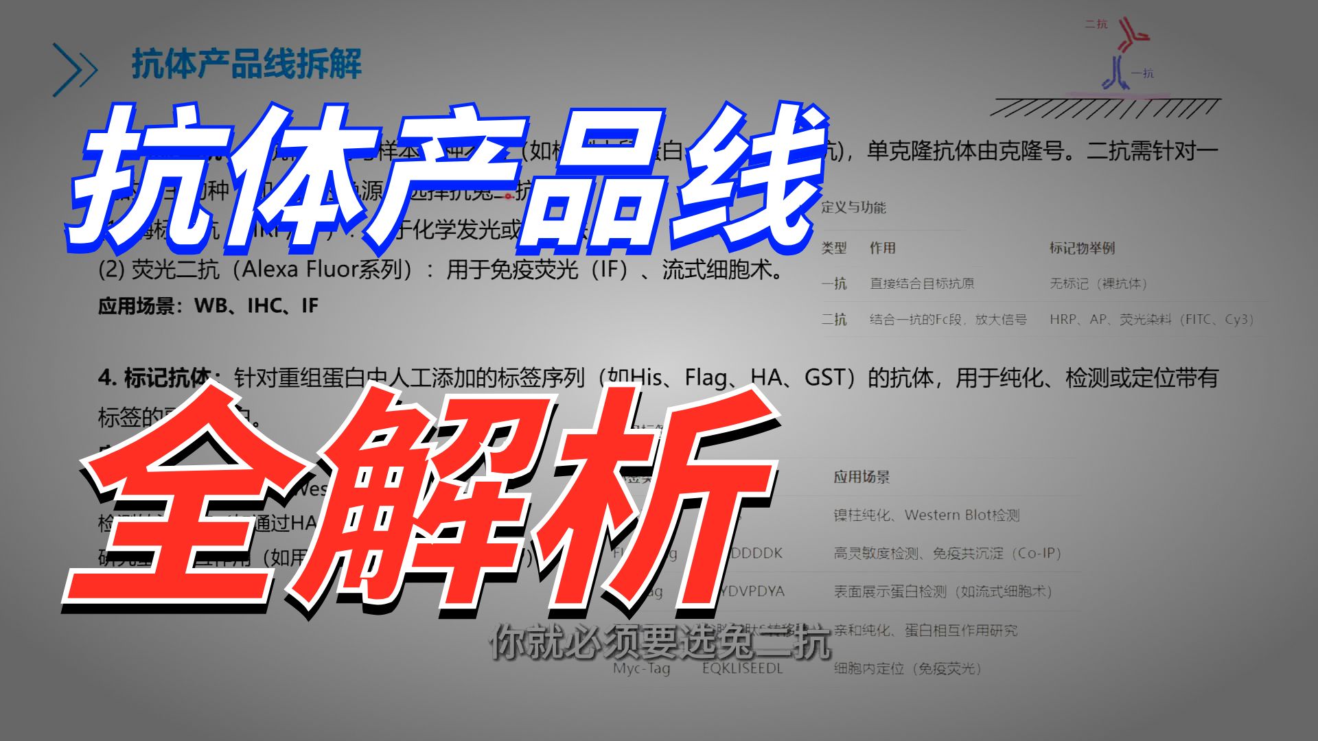 抗体产品线有哪些？对应实验如何选？抗体产品线拆解~