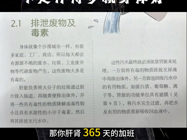 不管是猫咪还是人，日常饮食的科学合理才是身体免疫力提升的基
