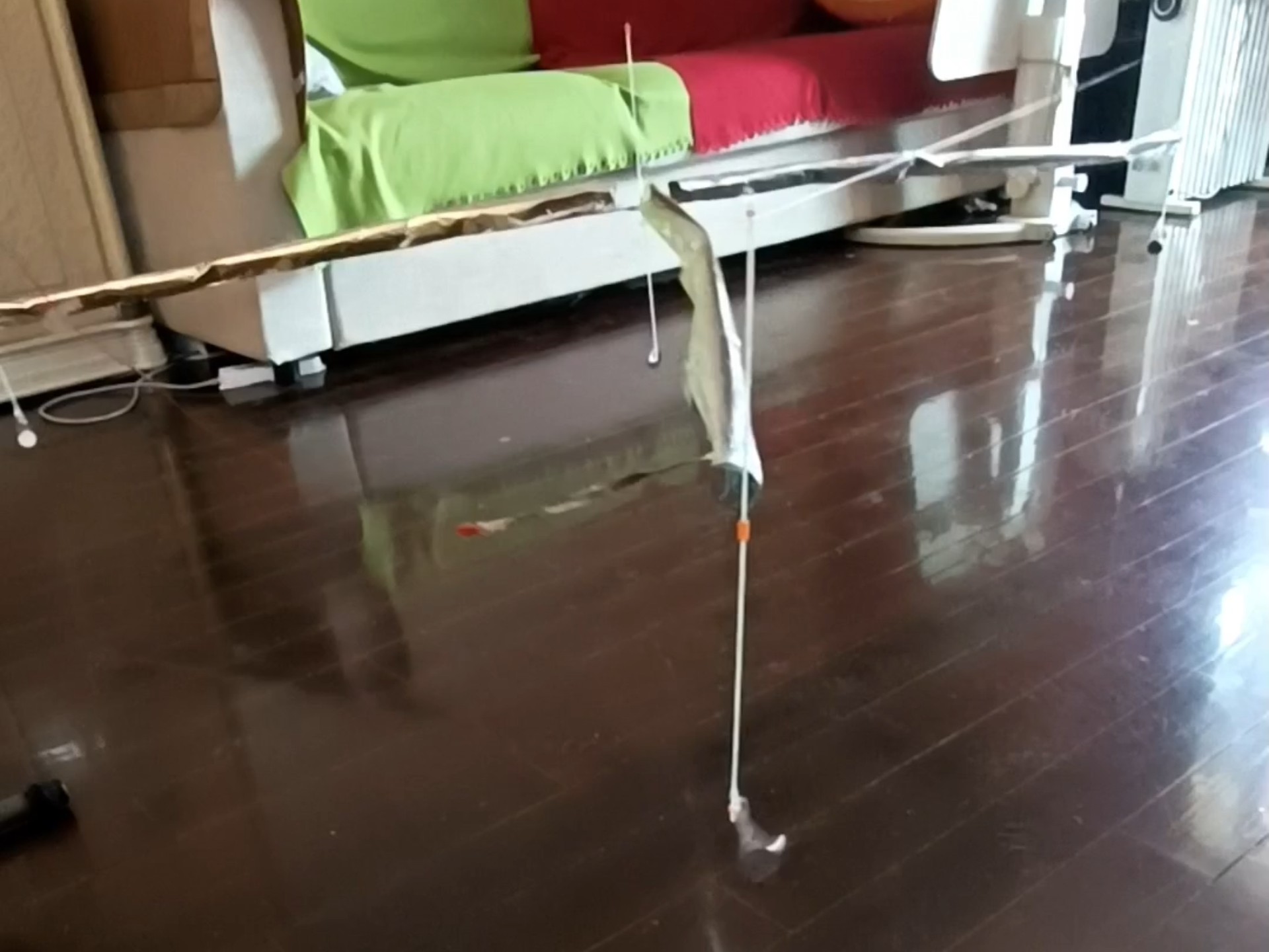 飘升机载重4个一元硬币