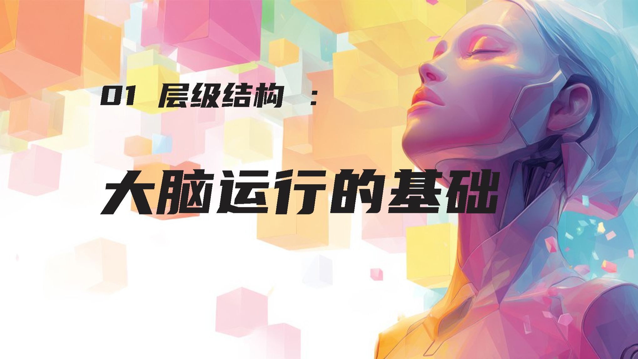 第一集  层级结构 大脑运行的基础